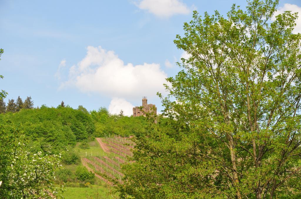 Schroeders Wein-Style-Hotel Trier Eksteriør bilde