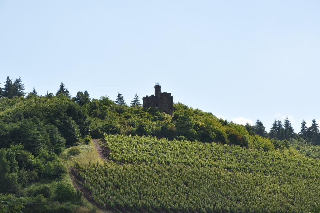 Schroeders Wein-Style-Hotel Trier Eksteriør bilde