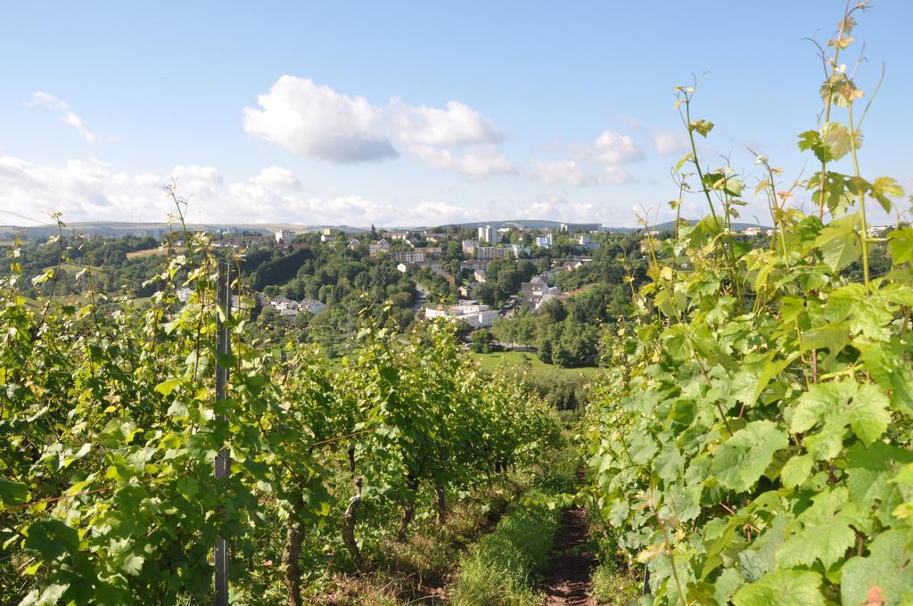 Schroeders Wein-Style-Hotel Trier Eksteriør bilde
