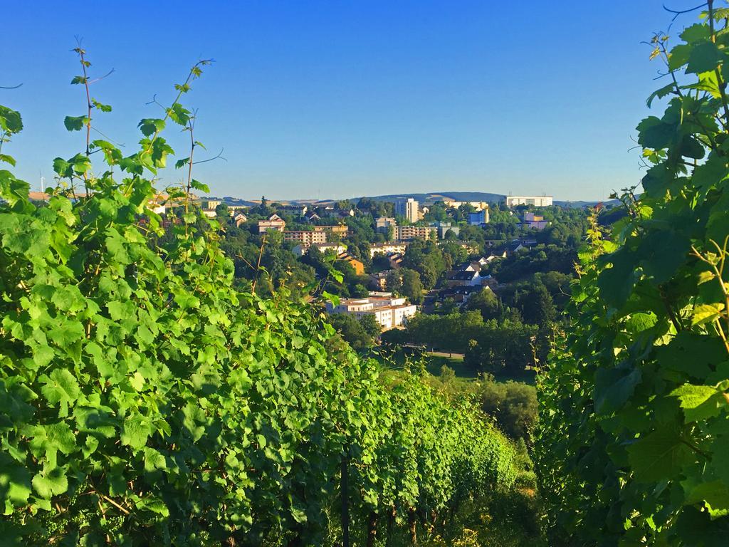 Schroeders Wein-Style-Hotel Trier Eksteriør bilde